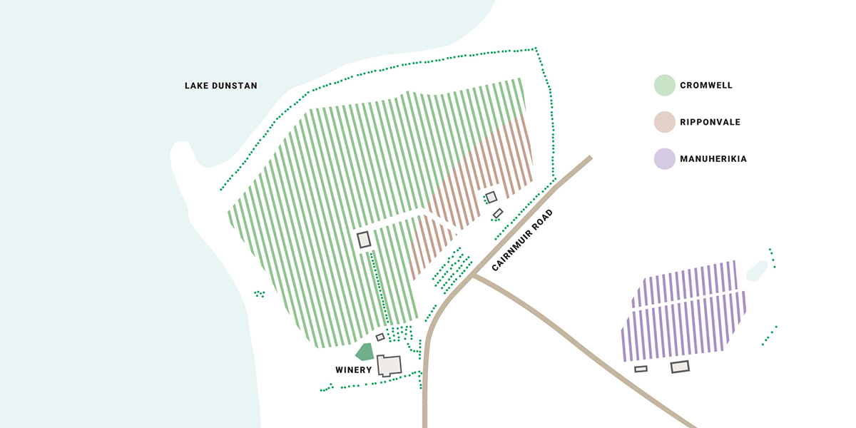 Carrick soil map