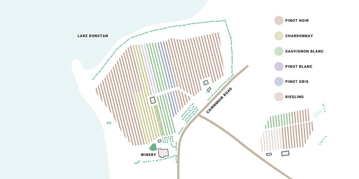 Carrick varieties map