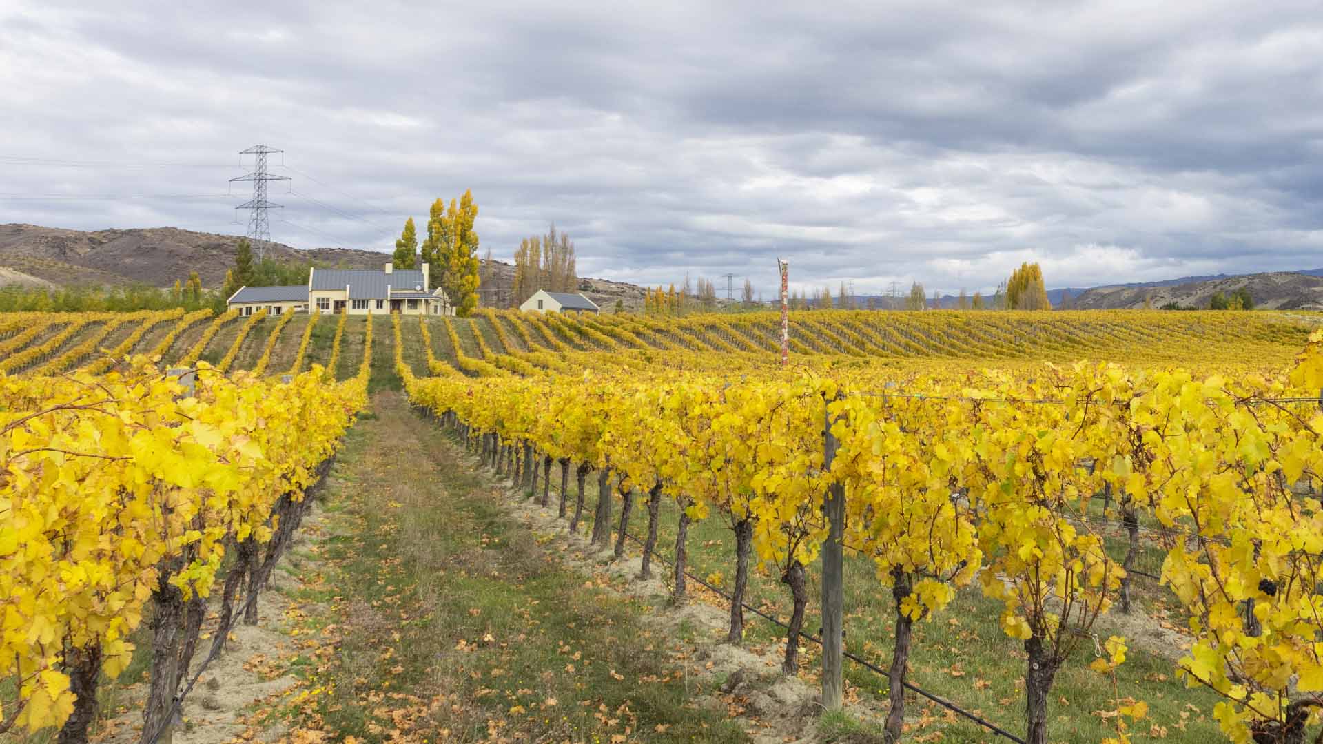 Carrick Winery & Restaurant, Bannockburn, Central Otago