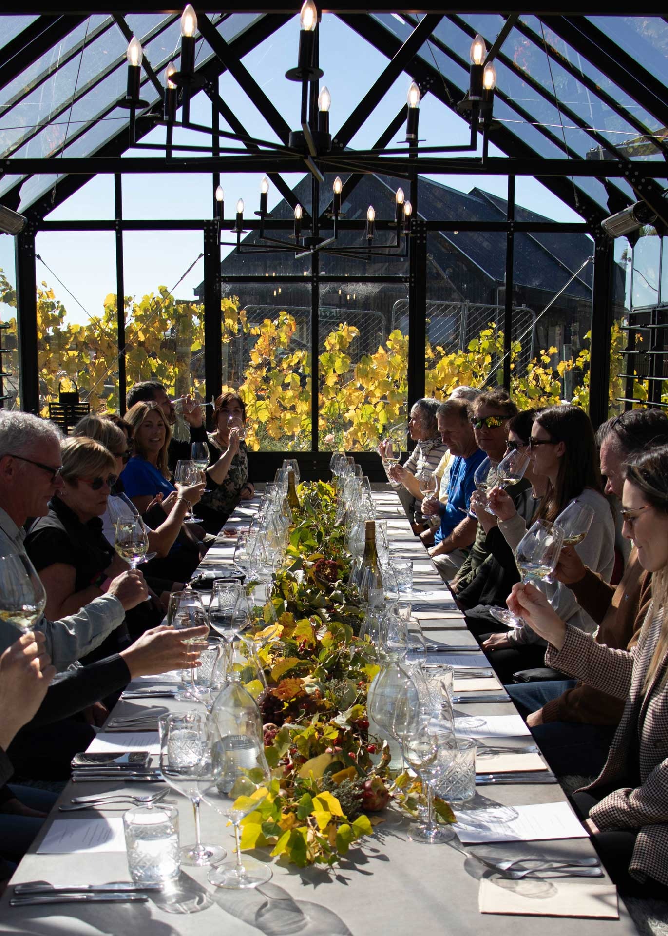 wine club harvest event 2024